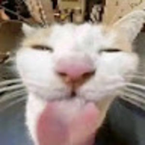 Meet your Posher, Kiznaiver